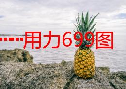 ┅┅快┅┅用力699图：震撼来袭，超乎想象的视觉盛宴等你体验！