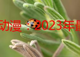 美女动漫：2023年最新热门作品推荐，精彩角色与剧情引发粉丝热议，值得一看！