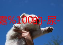 美女露%100的-尿-孔-无档图片，真是让人惊艳又不禁想多看几眼！