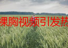 美女裸胸视频引发热议，相关平台加强内容审核措施，呼吁用户理性观看与分享