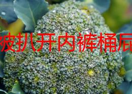 美女被扒开内裤桶屁股眼动态图网友纷纷表示这种内容不适合传播应该加强对网络色情内容的监管与过滤