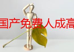 精品国产免费人成高清：最新动态引发关注，用户体验持续提升，内容更新频繁，满足观众多样化需求