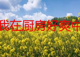 公和我在厨房好爽中文字幕网友推荐这部影片情节紧凑画面精美让人感受到浓厚的生活气息非常值得一看