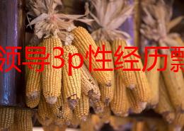 和大领导3p性经历飘飘：最新进展引发广泛关注，相关人士纷纷表态，事件背后真相逐渐浮出水面