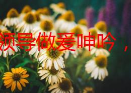 和女领导做爰呻吟，许多网友对此表示震惊，认为职场关系应保持专业，不应涉及私密行为