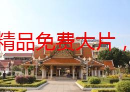 国产精品免费大片，画质清晰，内容丰富，非常适合喜欢国产影片的观众观看