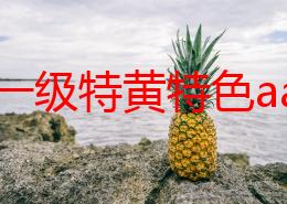 国产一级特黄特色aa毛片，内容丰富多样，值得一看，给人耳目一新的感觉