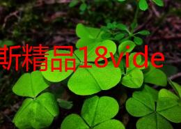 俄罗斯精品18videosex性：最新动态显示该领域的内容创作和消费趋势正在发生显著变化，吸引了越来越多的关注