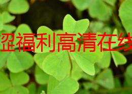 亚洲涩福利高清在线：最新动态揭示了该平台的用户增长和内容更新情况，吸引了更多观众的关注与参与