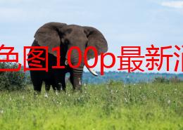 亚洲色图100p最新消息近日发布全新系列高清画质写真集