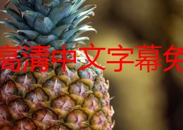 亚洲高清中文字幕免费震撼来袭！全网最新热门影视资源一网打尽，免费观看无广告畅享极致观影体验