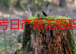 中文亏日产幕无限码一区惊爆：全球首款全自动驾驶汽车即将发布，颠覆传统出行方式！