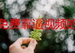 探索免费靠逼视频的世界：如何找到高质量内容并享受无限乐趣