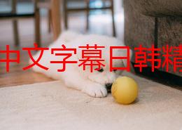 探索中文字幕日韩精品麻豆系列：感受文化交融与视觉盛宴的完美结合之旅