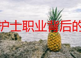 探索护士职业背后的秘密：从后面挺进的挑战与成长之路