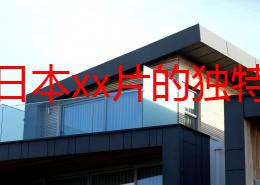 探索日本xx片的独特魅力：从文化视角看其对社会风潮的影响与反思