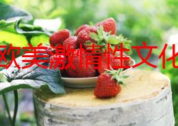 探索欧美激情性文化：从电影到生活的多元表现与影响