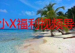 探索小X福利视频导航：带你进入精彩纷呈的成人娱乐世界