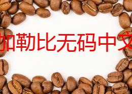 日本加勒比无码中文字幕引发热议网友纷纷讨论其内容与文化影响力并对未来发展趋势表示关注