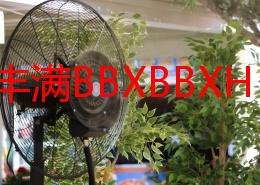 日本丰满BBXBBXHD：最新动态揭示其在市场中的影响力与发展趋势，吸引众多关注者的目光