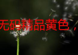 日韩无码精品黄色，内容丰富多样，满足了不同观众的需求，非常值得一看