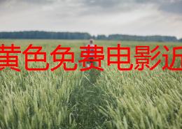 日韩黄色免费电影近日引发热议网友纷纷讨论影片内容与演员表现更有不少人分享观影心得和推荐片单让人期待不已