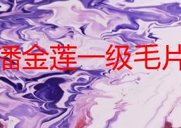 武松潘金莲一级毛片：最新动态揭示了两位经典角色在现代文化中的新解读与影响，吸引了众多观众的关注