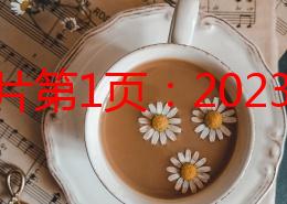 欧美片第1页：2023年奥斯卡最佳影片提名揭晓《瞬息全宇宙》领跑引发热议