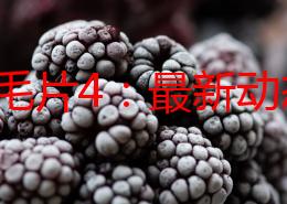 欧美毛片4：最新动态显示该系列在全球范围内的受欢迎程度持续上升，吸引了更多观众的关注与讨论