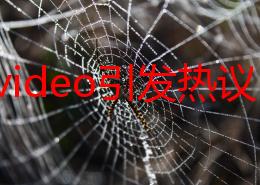 欧美video引发热议，网友纷纷讨论其内容和表现手法，观点各异