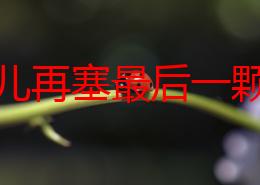 宝贝儿再塞最后一颗近日引发热议网友纷纷讨论这一行为的背后含义与影响你怎么看待这种现象