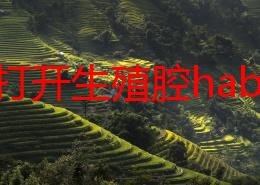 宝贝打开生殖腔habo：最新研究揭示其在生态系统中的重要性及对物种繁衍的影响，引发科学界广泛关注