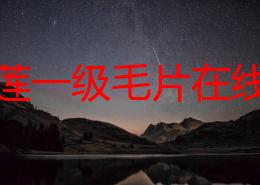 陈宝莲一级毛片在线看片，网友们纷纷表示这部作品的剧情和演技都很出色