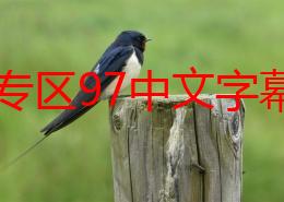 色伦专区97中文字幕最新电影《海上钢琴师》高清修复版上线