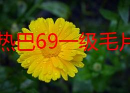 迪丽热巴69一级毛片，真是太美了，她的每一次出镜都让人惊艳不已！