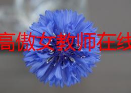 蹂躏高傲女教师在线观看，这部影片情节紧凑，演员表现出色，让人欲罢不能