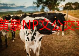 高肉黄暴NP文公交车最新进展消息引发广泛关注网友热议作品内容与创作背景并探讨其对社会文化的影响