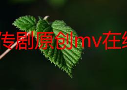 麻花传剧原创mv在线看视频，真是太好看了，演员们的表演非常精彩，值得一看！