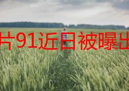 黄色片91近日被曝出一系列内幕消息引发热议网友纷纷猜测其背后故事究竟是什么让人期待更多揭秘内容