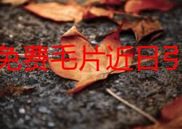 黄色免费毛片近日引发热议网友纷纷讨论其内容质量与观看体验并对平台的审核机制提出质疑引发广泛关注