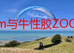 Zoom与牛性胶ZOOm：在数字化时代，如何看待虚拟会议工具与生物科技的奇妙结合？