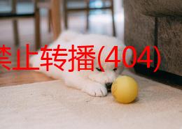 b站禁止转播(404)软件引发用户热议，众多创作者面临内容传播困境与挑战