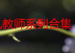 yin乱教师系列合集：最新动态揭示该系列作品在市场上的反响与观众反馈，持续引发热议与讨论